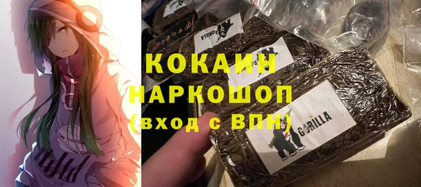 соль ск Михайлов