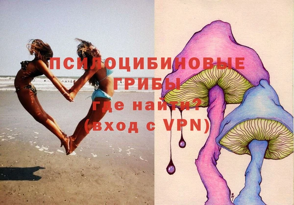 соль ск Михайлов