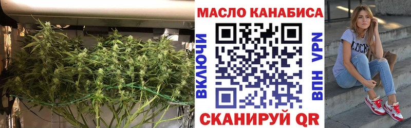 купить закладку  Шацк  Дистиллят ТГК THC oil 